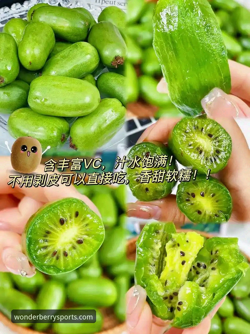 奇异果体育官网地址 奇异果体育官网地址 vs 第三方下载站:哪个更靠谱?老用户实测对比